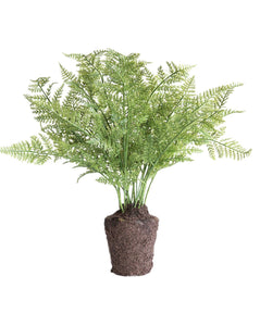 Faux Fern Drop-In