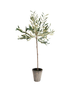 Faux Potted Olive Tree