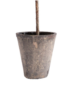 Faux Potted Olive Tree