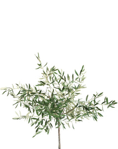 Faux Potted Olive Tree