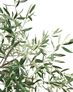 Faux Potted Olive Tree