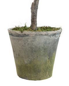 Faux Potted Olive Tree