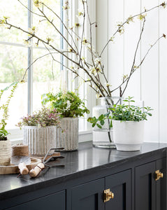 Matte White Burbank Planter