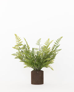 Faux Woodland Fern Drop-In