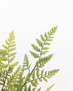 Faux Woodland Fern Drop-In