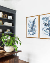 Load image into Gallery viewer, Indigo Botanical 1

