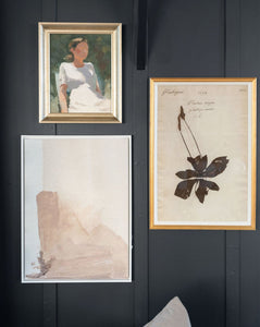 Herbarium Study II