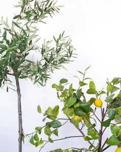 Faux Potted Olive Tree