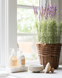 Horse Hair Dish Brush